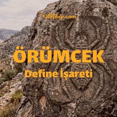Örümcek Define İşareti ve Çözümü