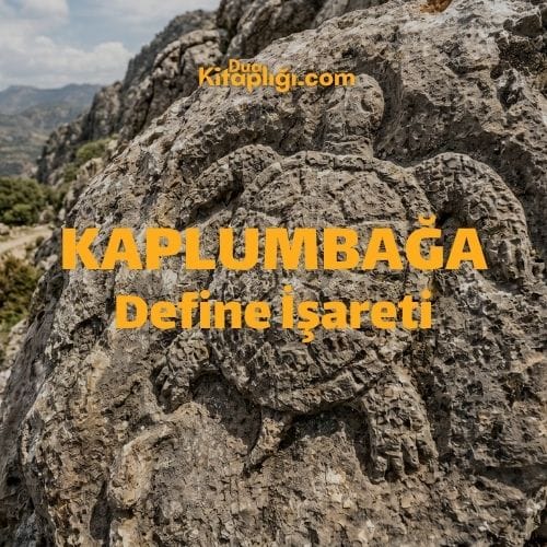 Kaplumbağa Define İşareti ve Çözümü