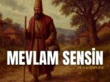 Mevlâm Sensin İlahisi Sözleri