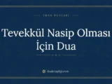 Tevekkül Nasip Olması İçin Dua: Arapçası ve Anlamı